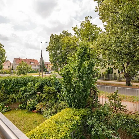 Olivia * Gdansk